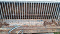 Click to enlarge - Klicken zum Vergrern