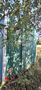 Click to enlarge - Klicken zum Vergrern