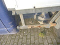 Click to enlarge - Klicken zum Vergrern