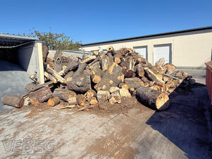 Stammholz: