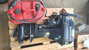 Außenbordmotor Evinrude 15 PS
