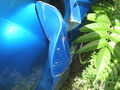 Click to enlarge - Klicken zum Vergrößern