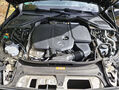 Click to enlarge - Klicken zum Vergr��ern