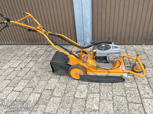Wildkraut-Hex AS Motor AS 50 B1/4T