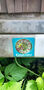 Click to enlarge - Klicken zum Vergrern