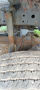 Click to enlarge - Klicken zum Vergr��ern