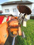 Click to enlarge - Klicken zum Vergr��ern