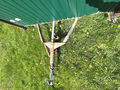Click to enlarge - Klicken zum Vergr��ern