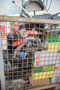Click to enlarge - Klicken zum Vergr��ern