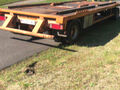 Click to enlarge - Klicken zum Vergr��ern