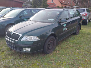 Pkw Skoda Octavia Combi 1,9 TDI 4x4