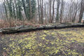 Click to enlarge - Klicken zum Vergrern