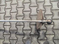 Click to enlarge - Klicken zum Vergrern