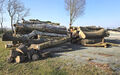 Click to enlarge - Klicken zum Vergr��ern