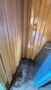 Click to enlarge - Klicken zum Vergr��ern