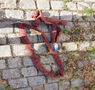 Click to enlarge - Klicken zum Vergr��ern