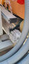 Click to enlarge - Klicken zum Vergr��ern