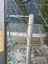 Click to enlarge - Klicken zum Vergr��ern