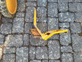 Click to enlarge - Klicken zum Vergr��ern