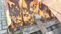 Click to enlarge - Klicken zum Vergr��ern